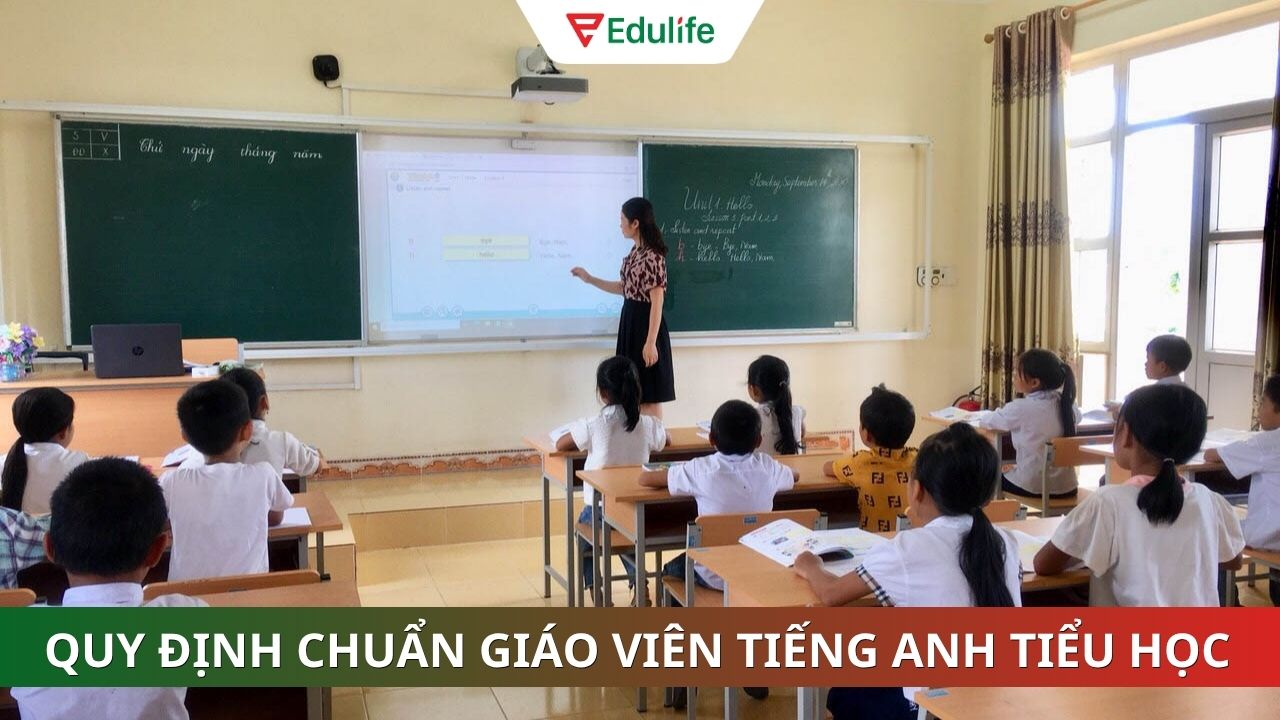 Quy định chuẩn giáo viên Tiếng anh tiểu học