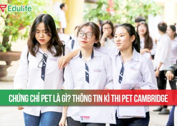 bằng tiếng Anh pet