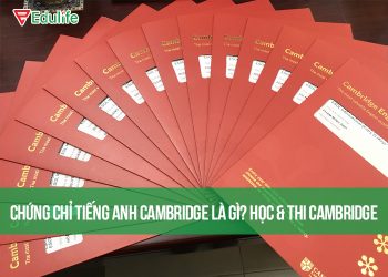 Lộ trình chinh phục chứng chỉ Cambridge cho mọi lứa tuổi