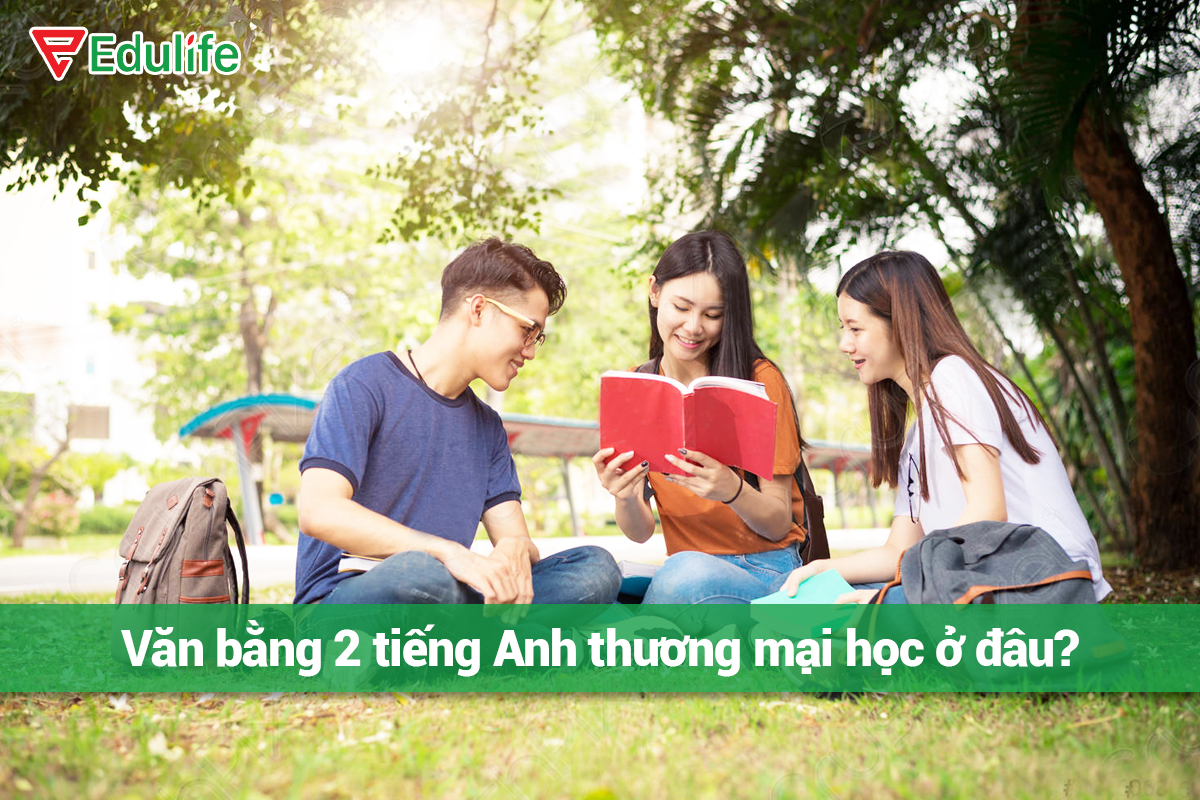 Văn bằng 2 tiếng Anh thương mại học ở đâu?