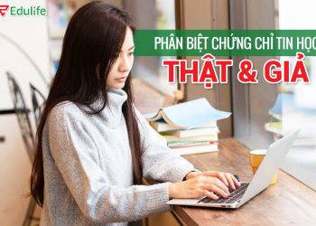 Chứng chỉ tin học giả cách phân biệt như thế nào?
