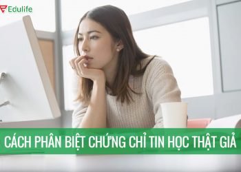 Cách tra cứu chứng chỉ tin học phân biệt bằng thật giả