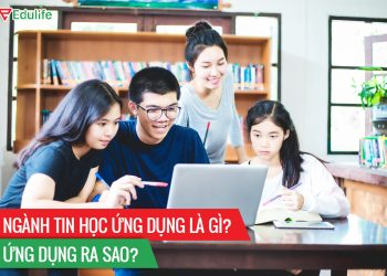 Ngành tin học ứng dụng cơ bản là gì? Ra trường làm những gì?
