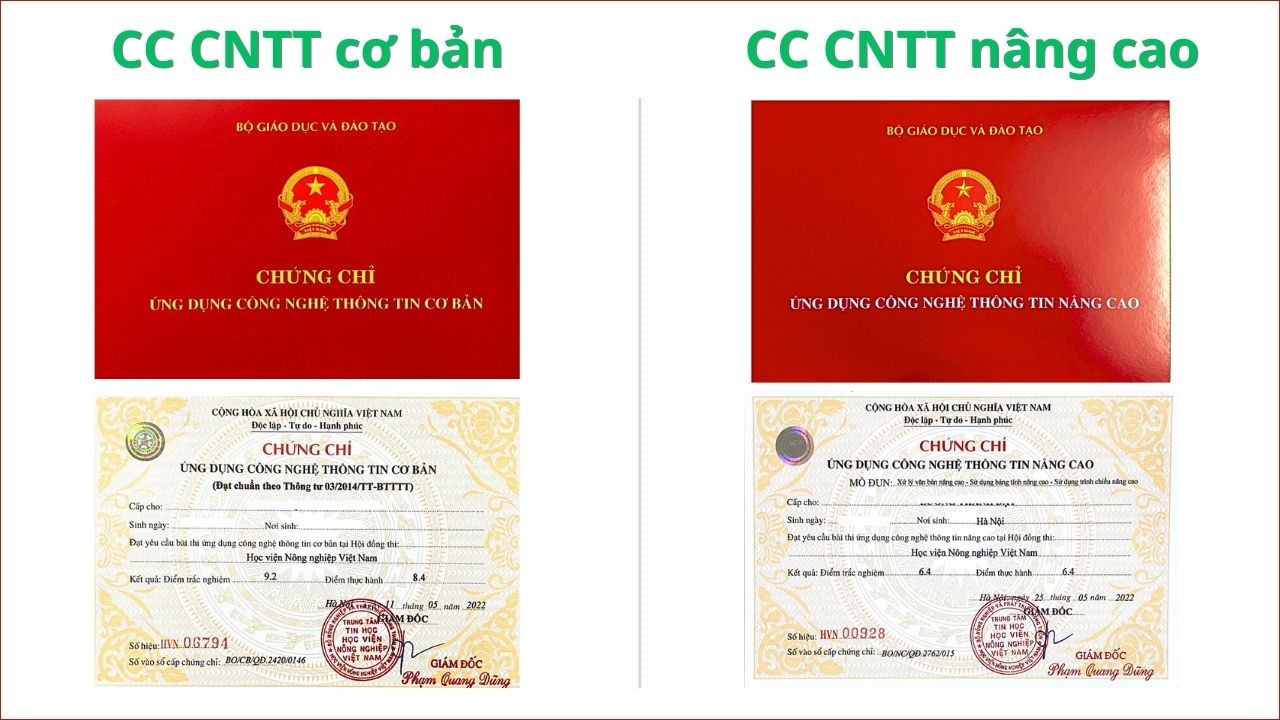 Chứng chỉ tin học văn phòng