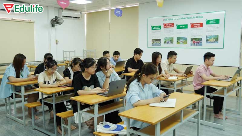 Edulife tổ chức luyện thi tiếng Anh liên tục với số lượng học viên rất đông