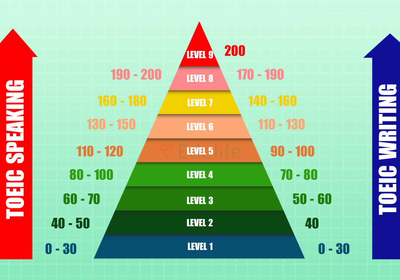 Phân biệt chứng chỉ TOEIC 2 kỹ năng và 4 kỹ năng 