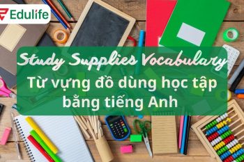 Các từ tiếng Anh về đồ dùng học tập “quen mà lạ” bạn chưa biết