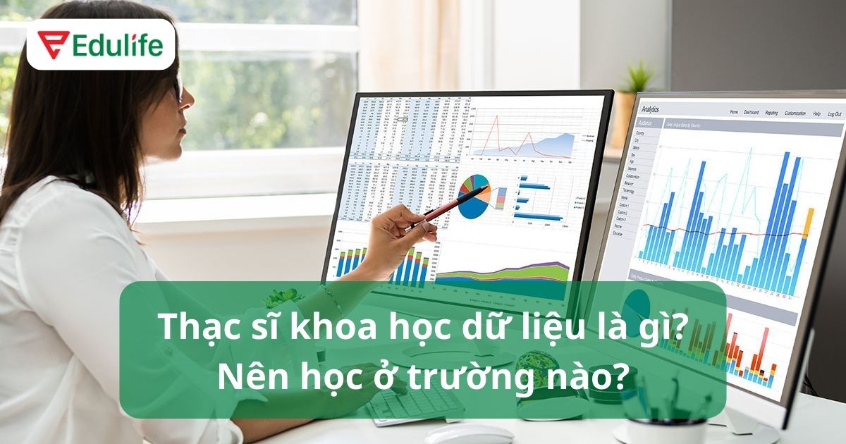 thạc sĩ khoa học dữ liệu