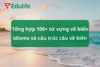 từ vựng về biển