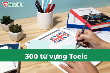 Trọn bộ 300 từ vựng Toeic cho người mất gốc