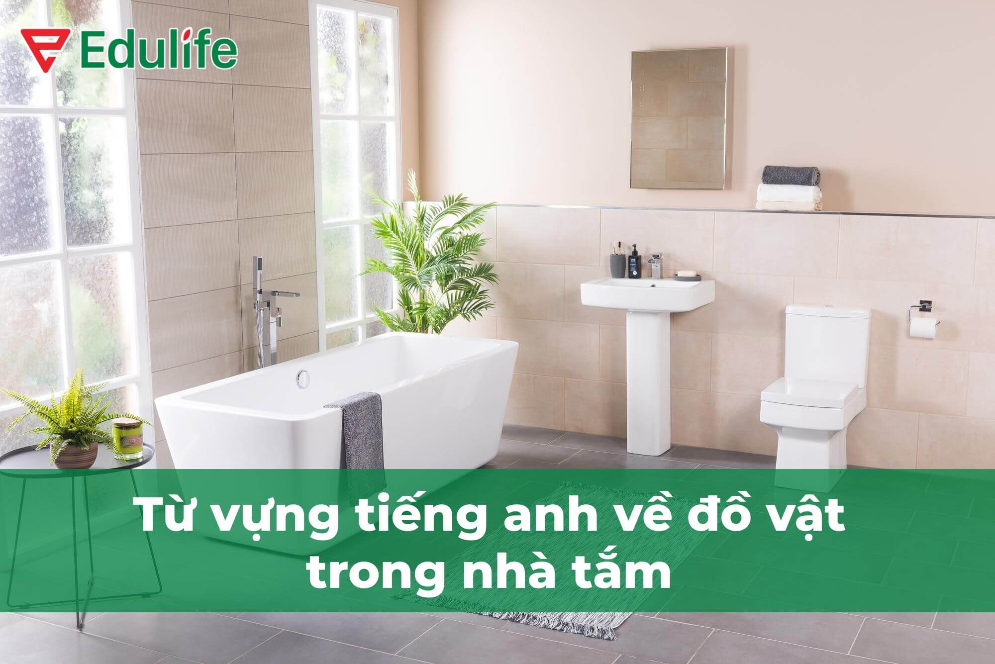 Từ vựng tiếng anh về đồ vật trong nhà tắm