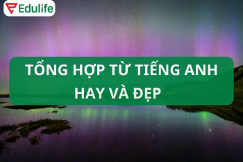 Khám phá các từ ngữ tiếng Anh hay và hiếm gặp về tình yêu