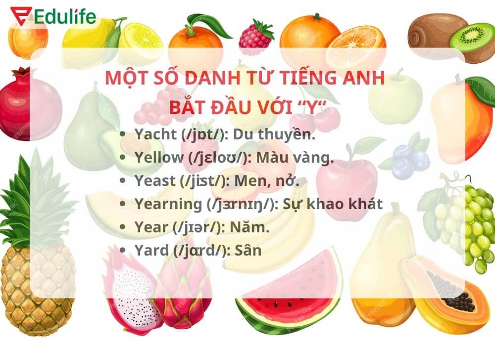 các từ vựng tiếng Anh bắt đầu bằng chữ y