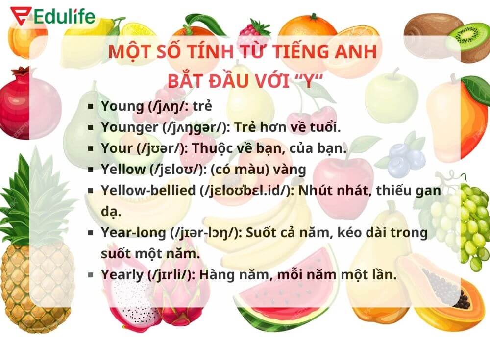 các từ vựng tiếng Anh bắt đầu bằng chữ y