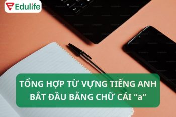 300+ từ tiếng Anh bắt đầu bằng chữ A đầy đủ theo từng nhóm chủ đề