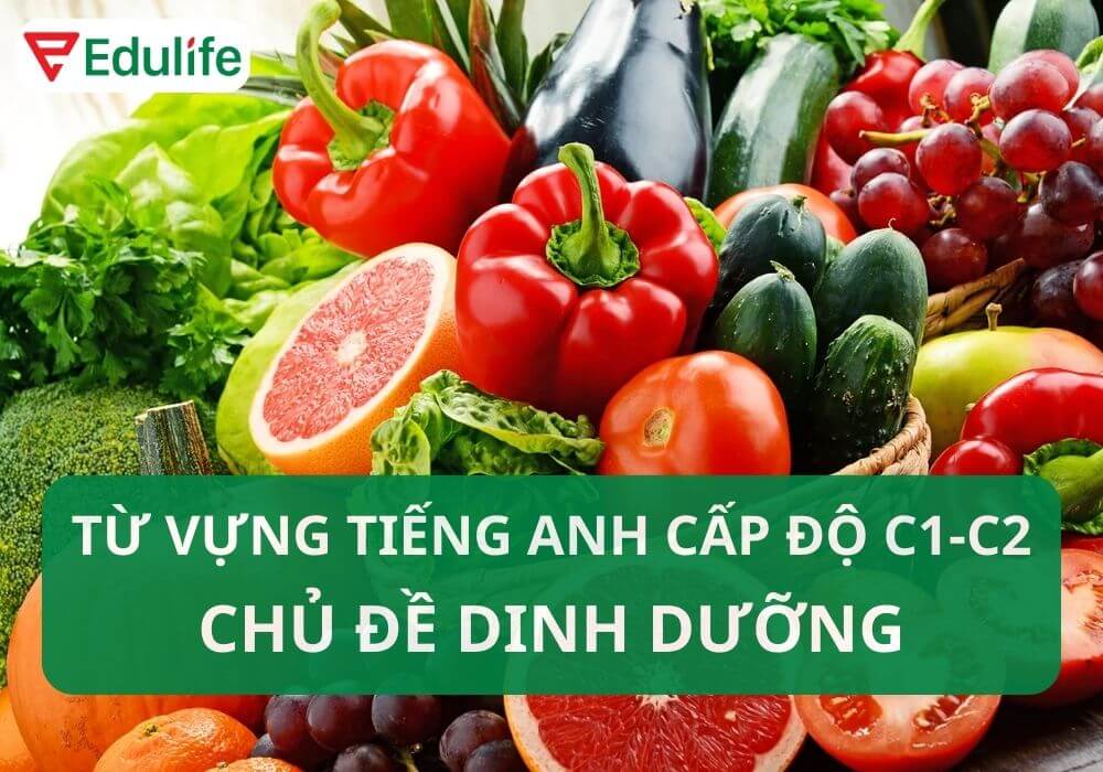 Từ vựng C1 tiếng Anh chủ đề 