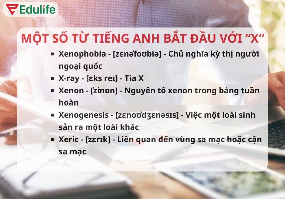 TỪ vựng tiếng Anh bắt đầu bằng chữ X