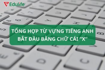 70+ từ vựng tiếng Anh bắt đầu bằng chữ X thông dụng nhất