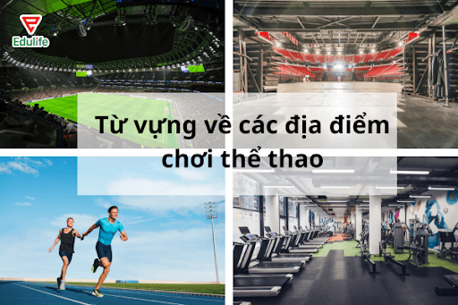 tu-vung-ve-cac-dia-diem-choi-the-thao-trong-tieng-anh