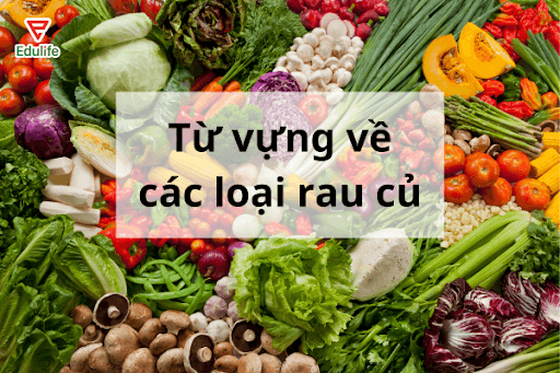 tu-vung-ve-cac-loai-rau-cu