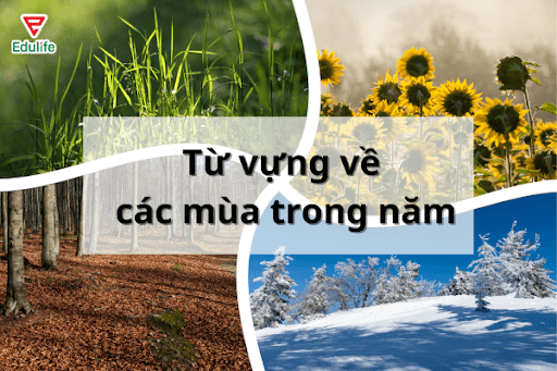 tu-vung-ve-cac-mua-trong-nam