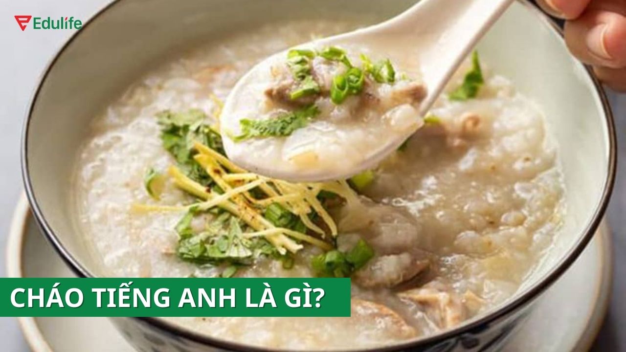 Món Cháo Tiếng Anh Là Gì? Khám Phá Congee, Porridge và Các Loại Cháo Đặc Trưng