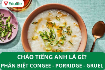 Cháo tiếng Anh là gì? Phân biệt Congee, Porridge và Gruel