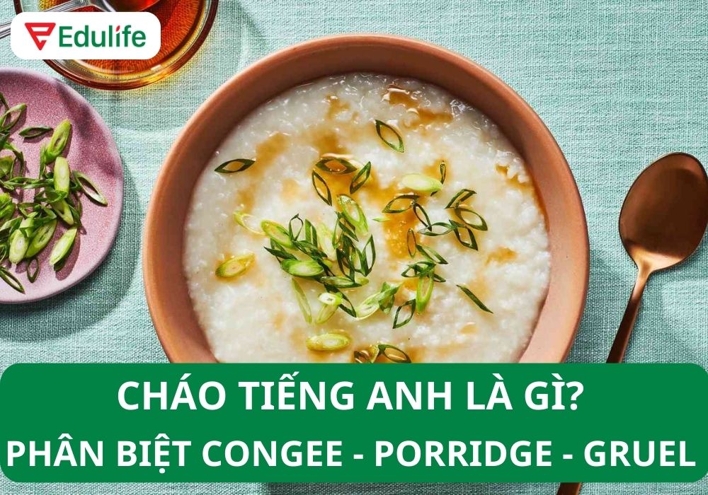 1. Giới Thiệu Về Các Loại Cháo Trong Tiếng Anh