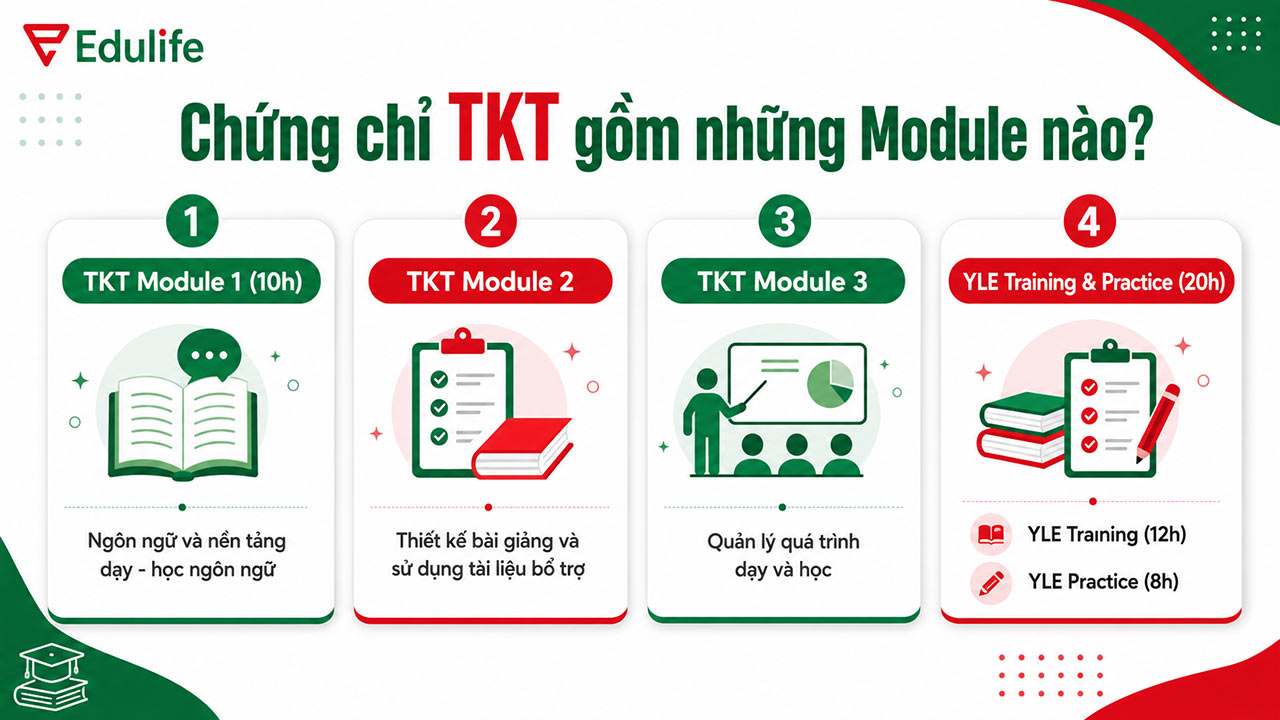 Những Module trong chứng chỉ TKT