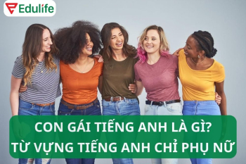 Con gái tiếng Anh là gì? Các từ chỉ phái nữ trong tiếng Anh
