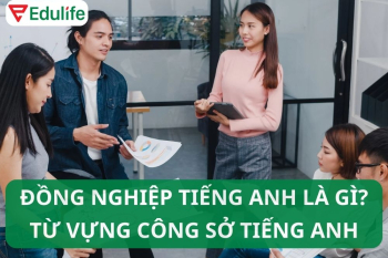 Đồng nghiệp tiếng Anh là gì? 30+ mẫu câu giao tiếp công sở cơ bản