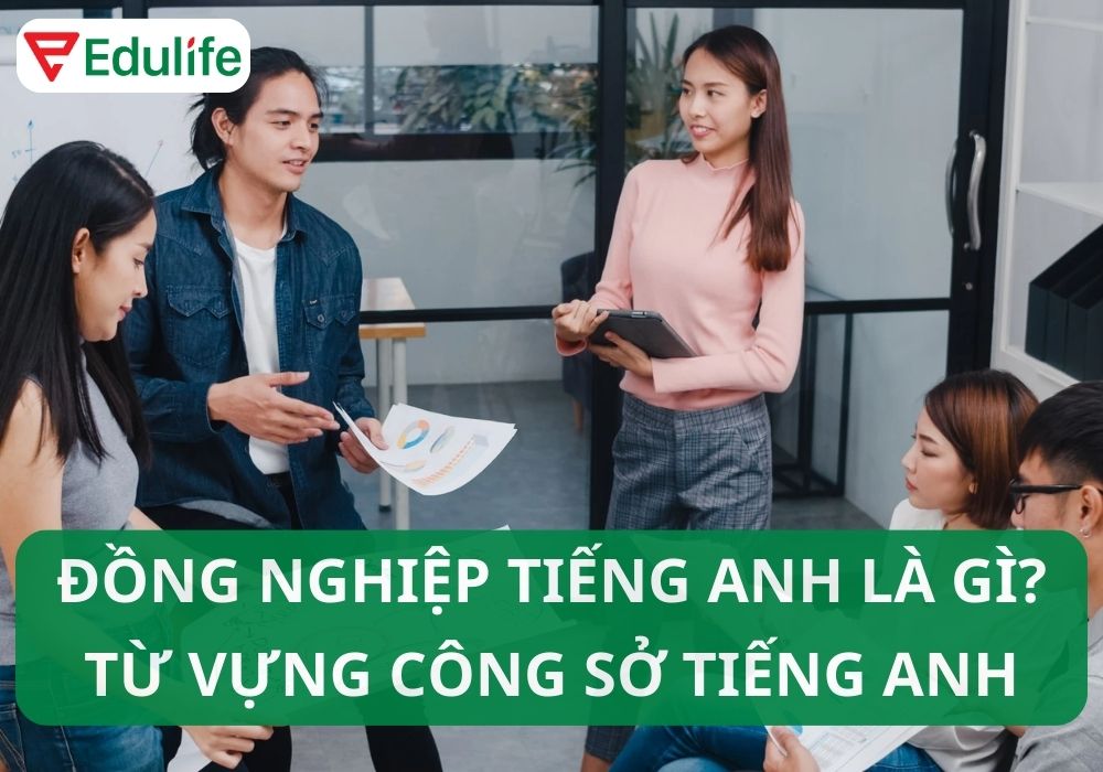 Đồng nghiệp tiếng Anh là gì?