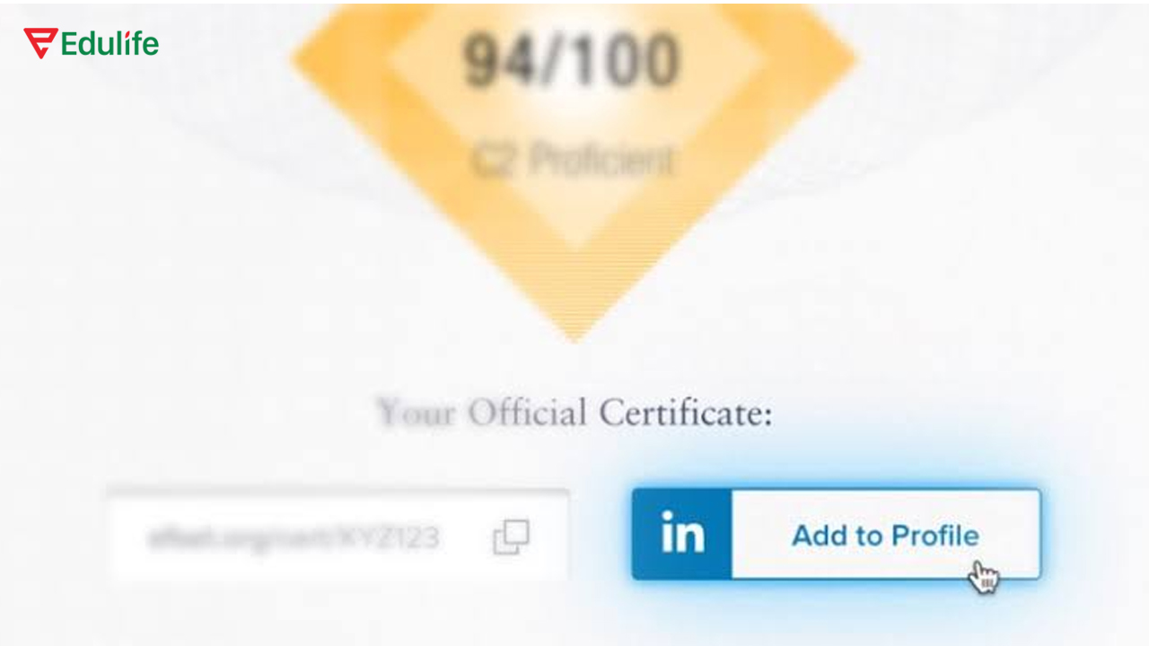 Chứng chỉ EFFSET được lưu thẳng trên LinkedIn