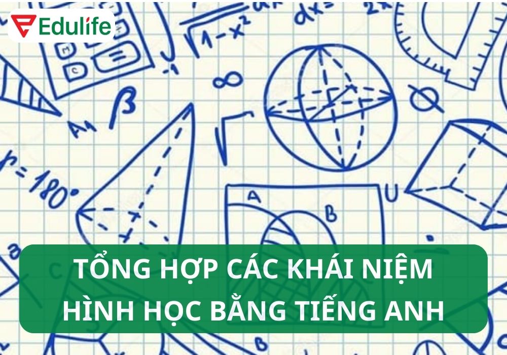 Hình tròn tiếng Anh là gì?