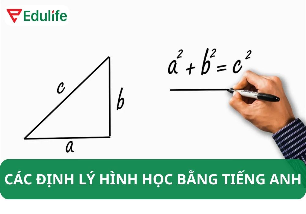 Hình tròn tiếng Anh là gì?