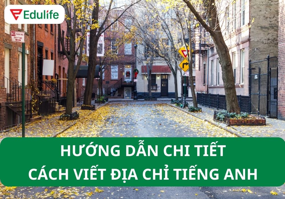 Phường tiếng Anh là gì? 