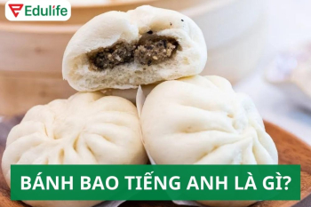 Bánh bao tiếng Anh là gì? 10+ tên các loại bánh bao tiếng Anh