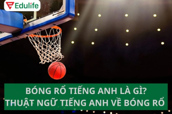 Bóng rổ tiếng Anh là gì? 40+ thuật ngữ bóng rổ tiếng Anh