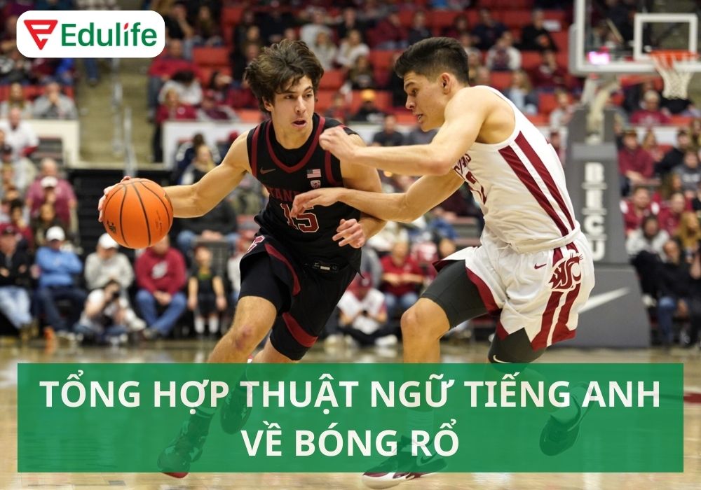 Bóng rổ tiếng Anh là gì?