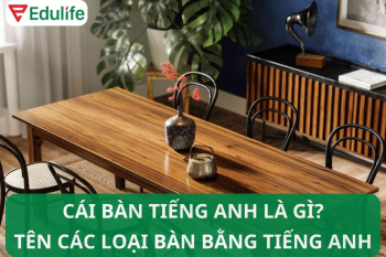 Cái bàn tiếng Anh là gì? Idioms về cái bàn trong tiếng Anh