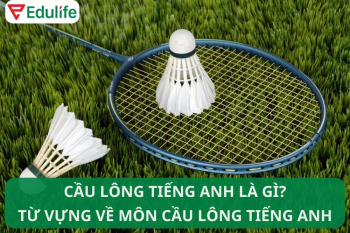 Cầu lông tiếng Anh là gì? Từ vựng tiếng Anh về cầu lông