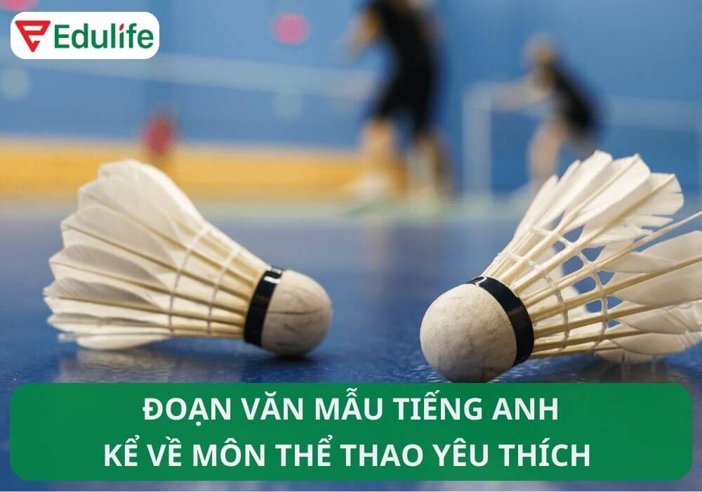 Cầu lông tiếng Anh là gì?