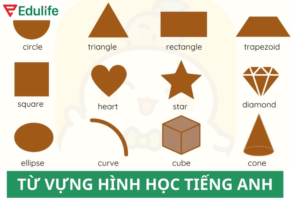 Diện tích tiếng Anh viết là gì? Khám phá kiến thức và ứng dụng