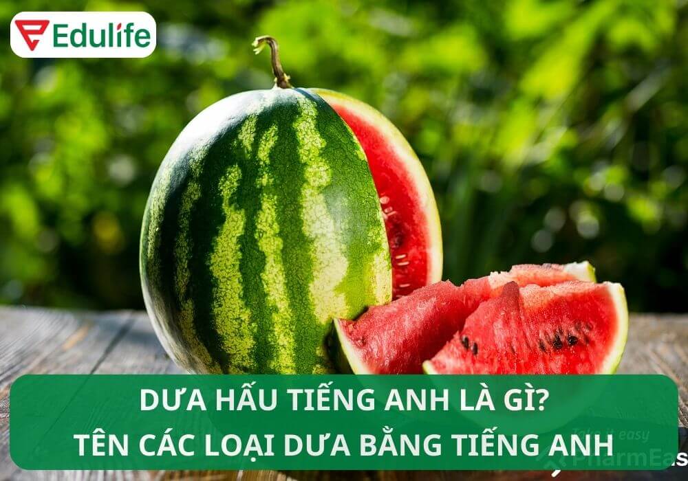 Dưa hấu tiếng Anh là gì?