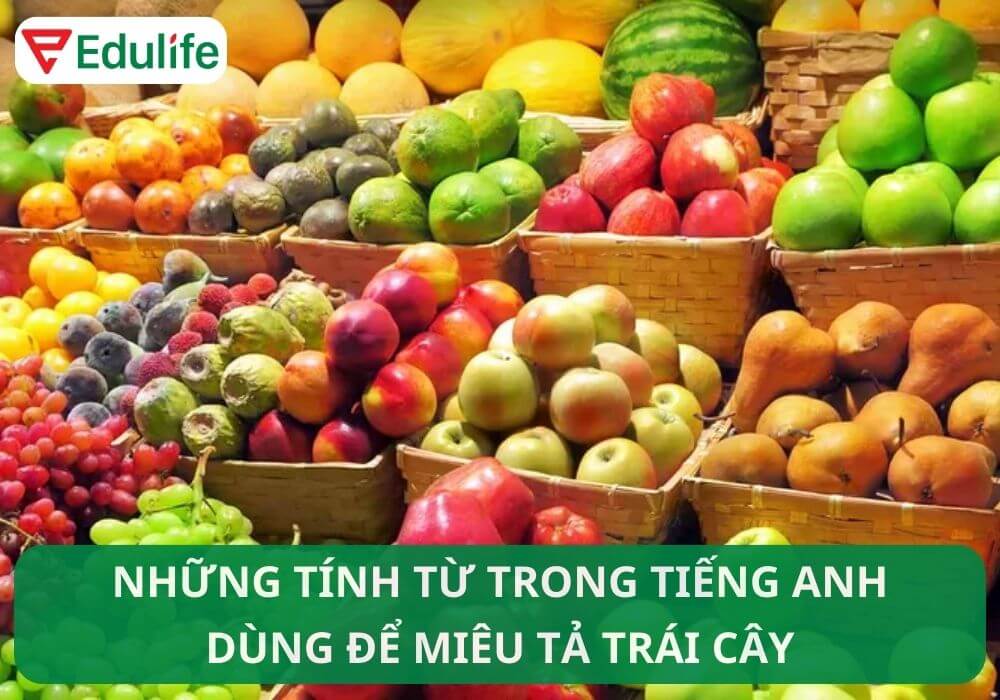 Dưa hấu tiếng Anh là gì?