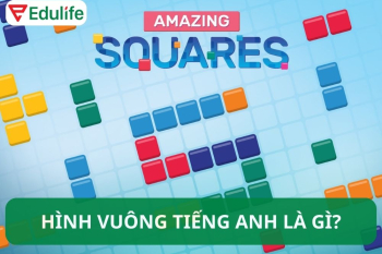 Hình vuông tiếng Anh là gì? Một số từ vựng hình học tiếng anh