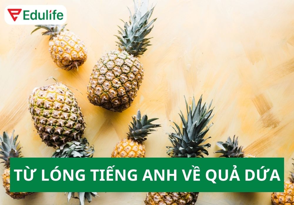 Quả dứa tiếng Anh là gì? 