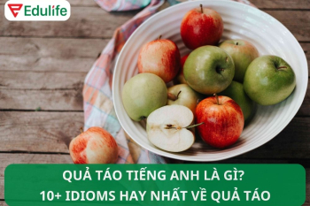 Quả táo tiếng Anh là gì? Idioms về quả táo trong tiếng Anh