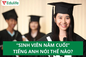Sinh viên năm cuối tiếng Anh là gì? 40+ từ vựng về sinh viên
