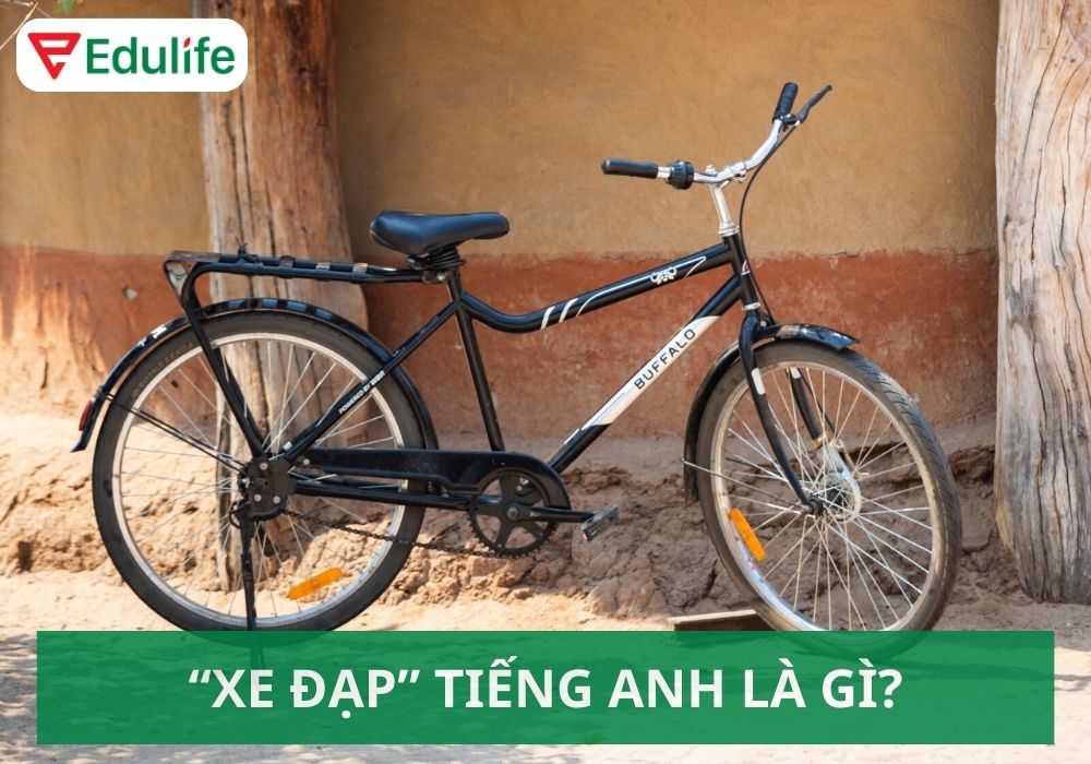 Đạp Xe Tiếng Anh Là Gì? Khám Phá Thế Giới Đạp Xe Đầy Thú Vị